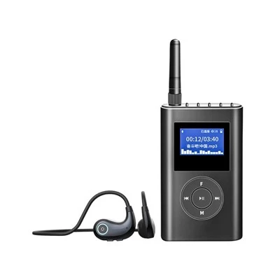 Sistema di guida turistica wireless per balli di gruppo